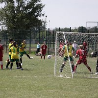 IMG 0352